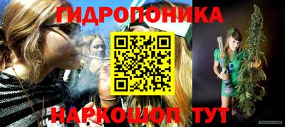 крисы Ливны