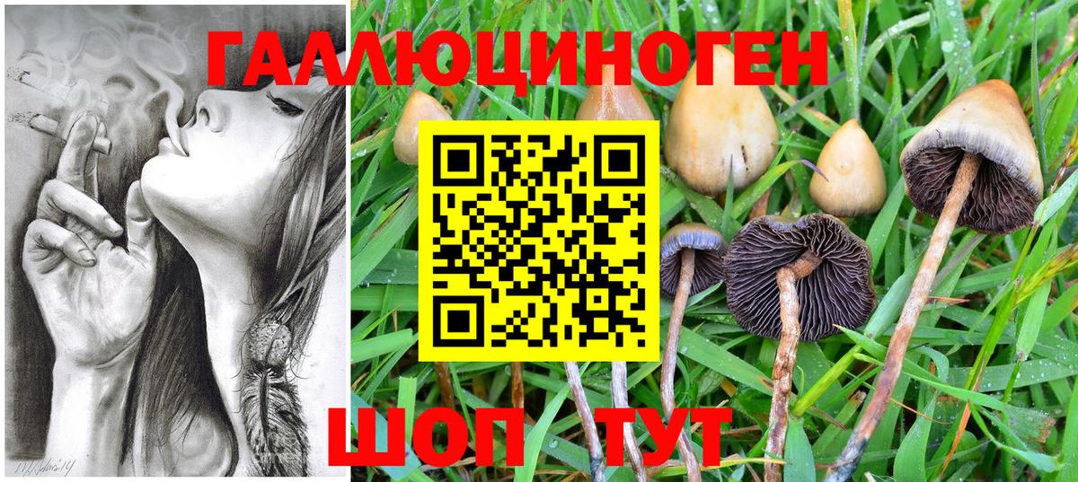 купить закладку  Вход с VPN  Еманжелинск  Галлюциногенные грибы GOLDEN TEACHER 